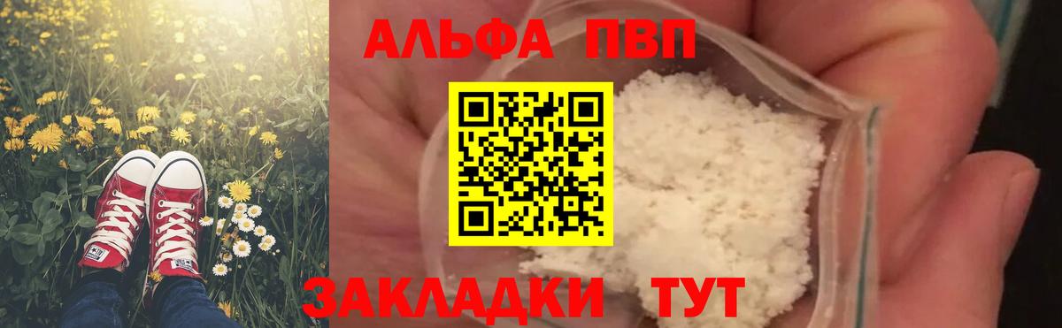 Альфа ПВП СК КРИС Тверь