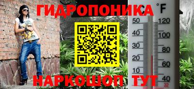 apvp Усть-Илимск