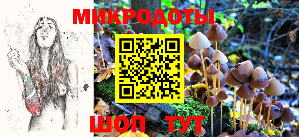Тверь  Псилоцибиновые грибы GOLDEN TEACHER  Вход с VPN 